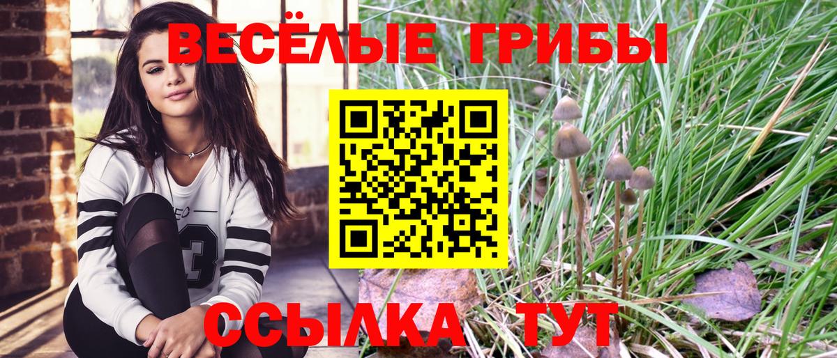 Псилоцибиновые грибы MAGIC MUSHROOMS  Вход с VPN  Воронеж 