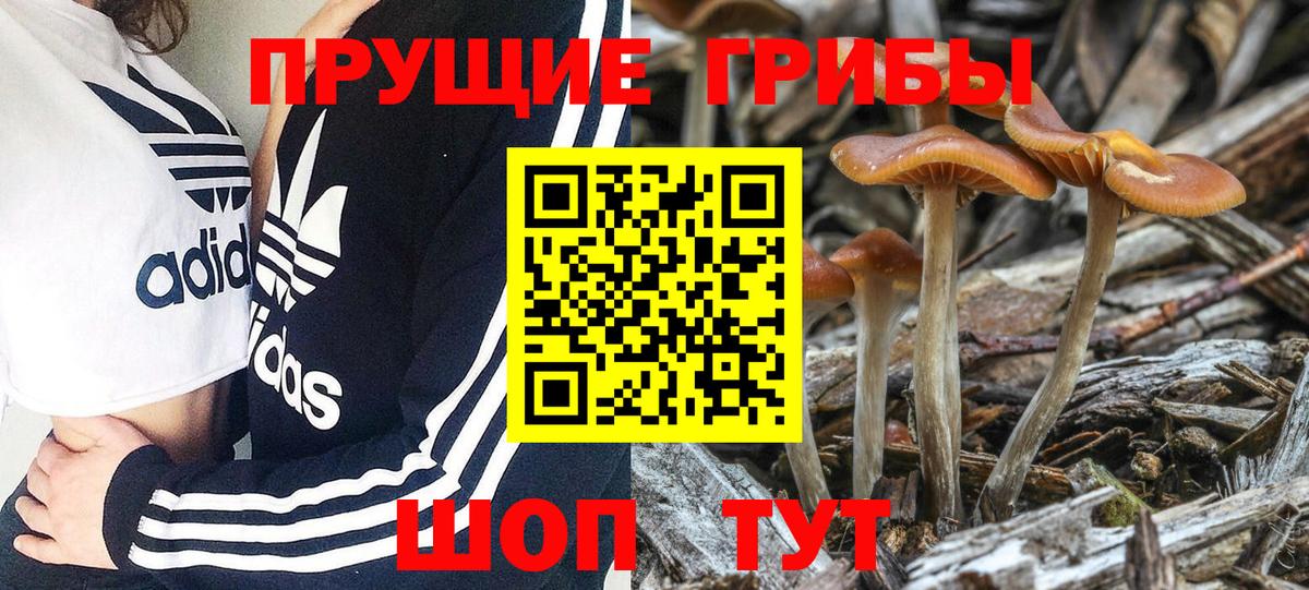Псилоцибиновые грибы MAGIC MUSHROOMS Воронеж